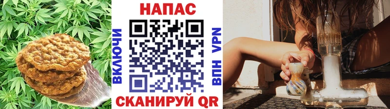 Печенье с ТГК марихуана  продажа наркотиков  Трубчевск 