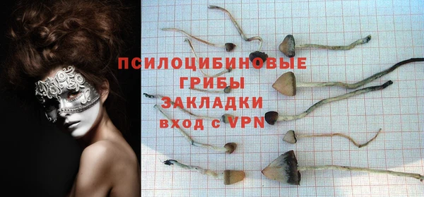 бошки Аркадак