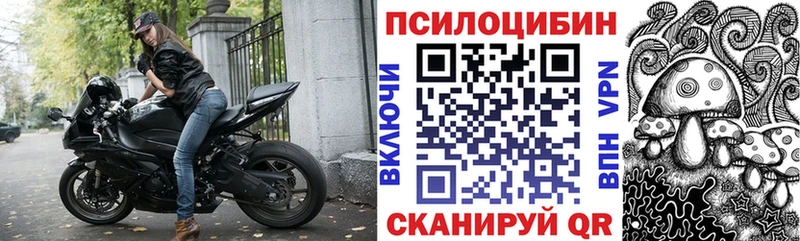Псилоцибиновые грибы Magic Shrooms  гидра ссылки  Трубчевск 